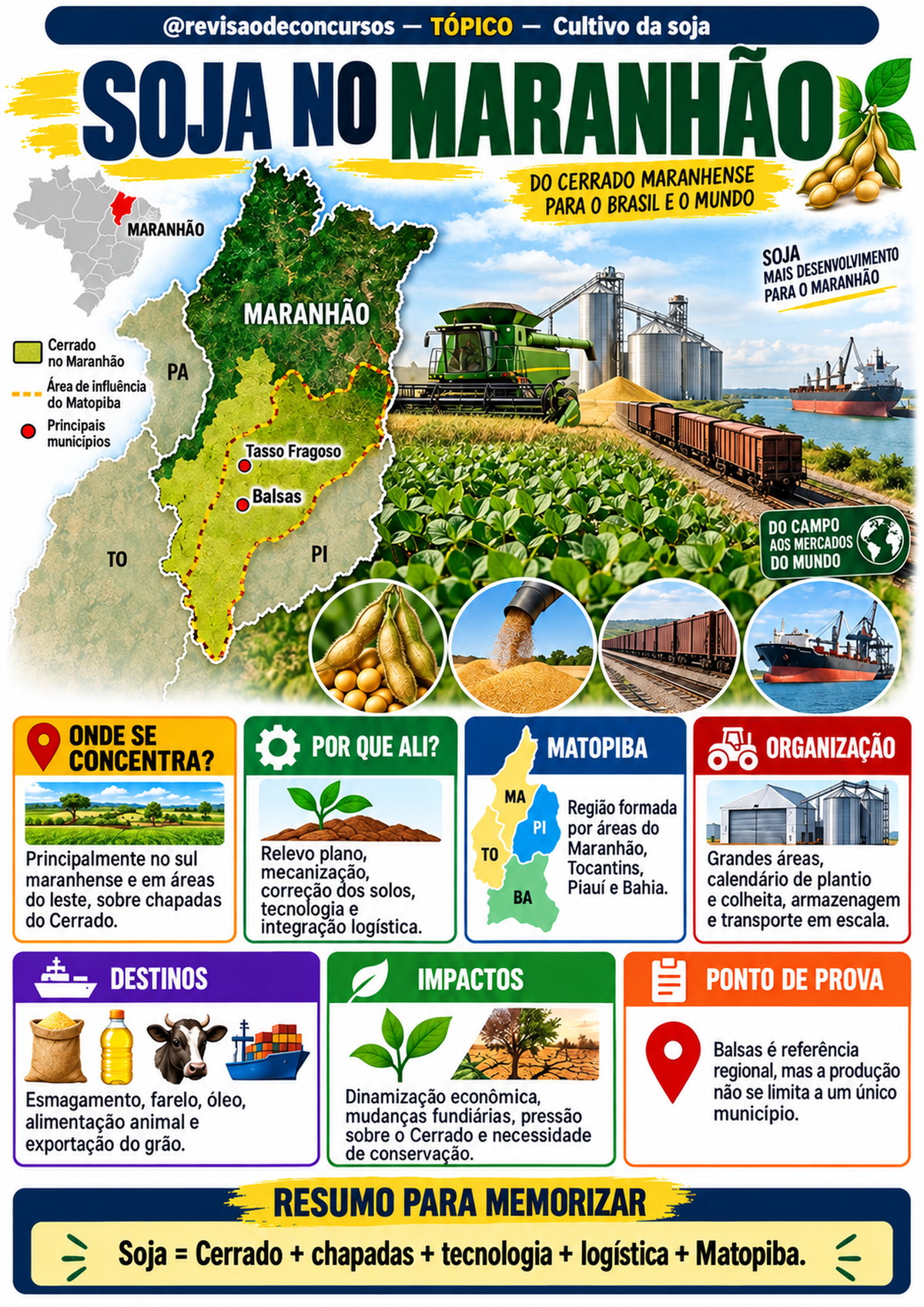 Amostra — Soja no Maranhão