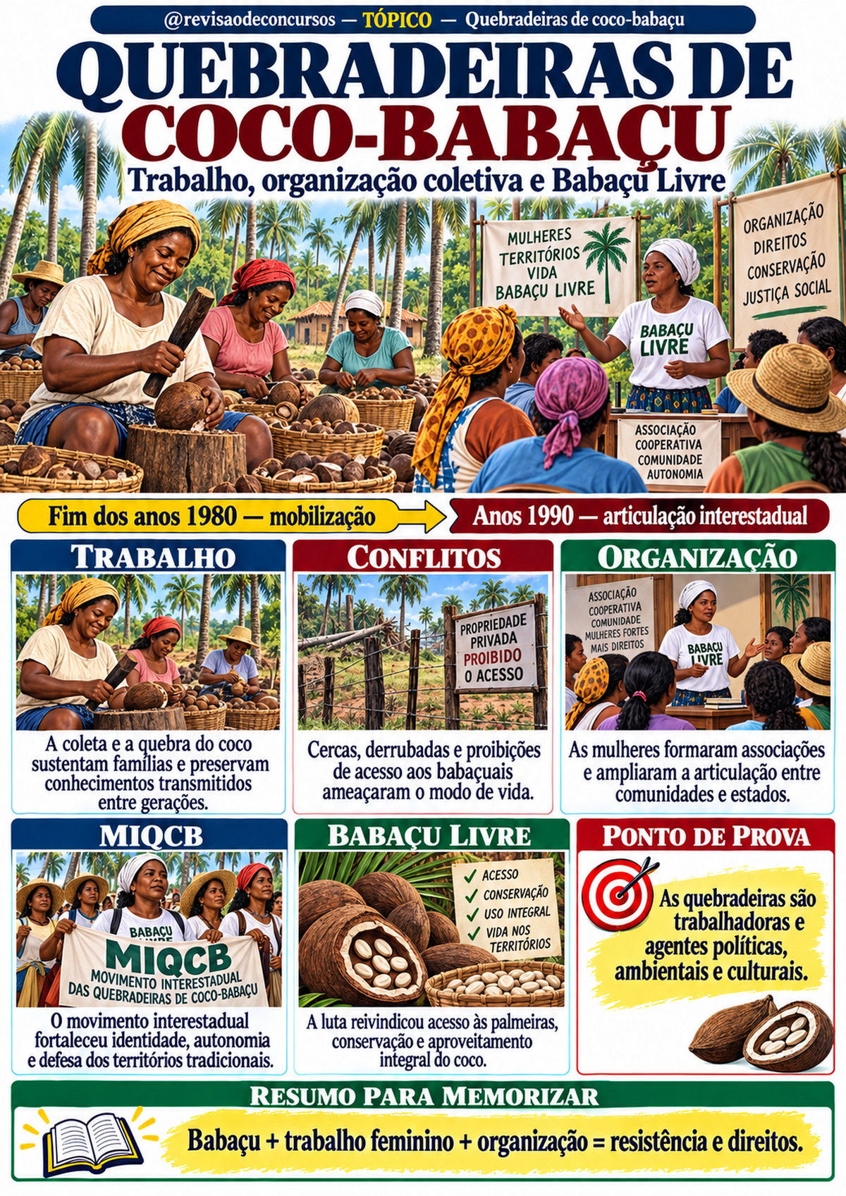 Amostra complementar — Quebradeiras de coco-babaçu