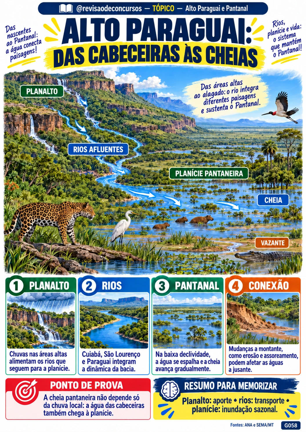 Ficha ilustrada sobre os rios e cheias do Pantanal
